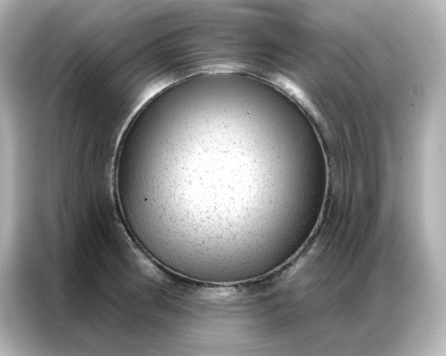 X0000086931186200704301111