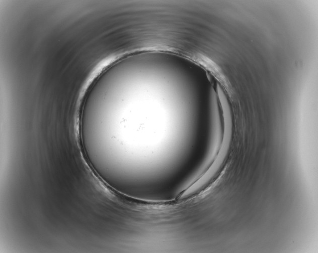 X0000086931188200704301111