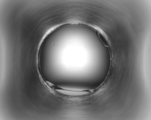 X0000086931191200704301111