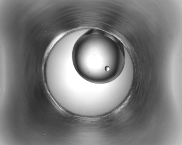 X0000086931196200704301111