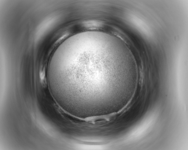 X0000086931198200704301111