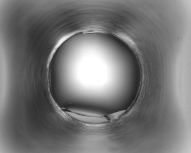 X0000086931200200704301111