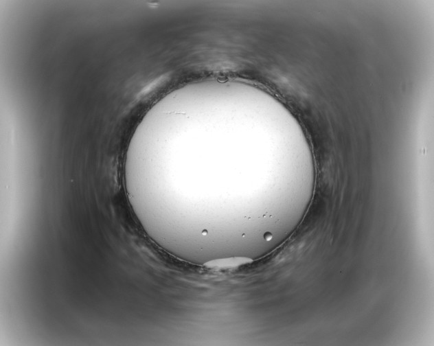 X0000086931205200704301110