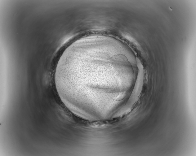 X0000086931208200704301110