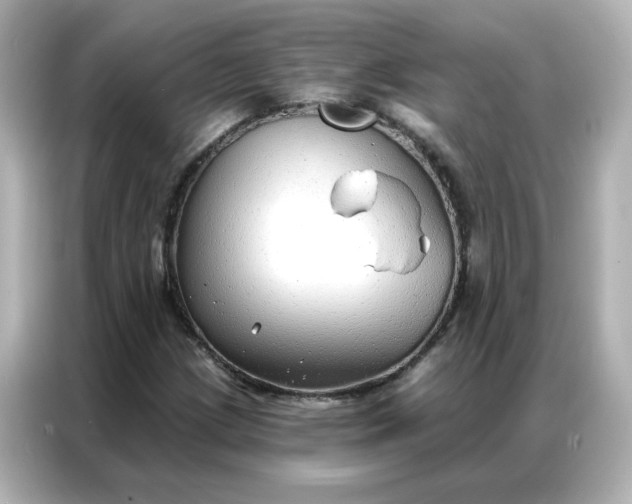 X0000086931209200704301110