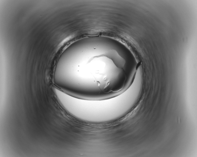 X0000086931210200704301110