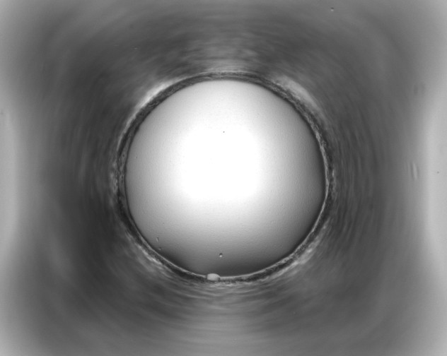 X0000086931212200704301110