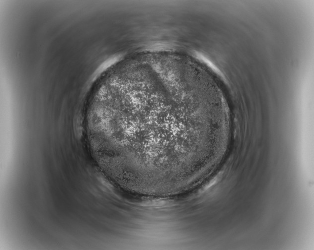 X0000086931213200704301110