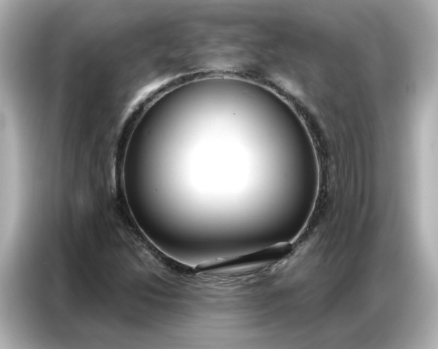 X0000086931214200704301110