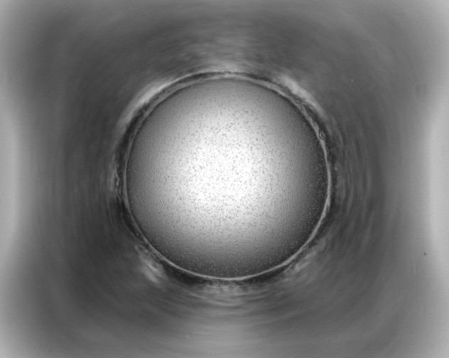 X0000086931215200704301110