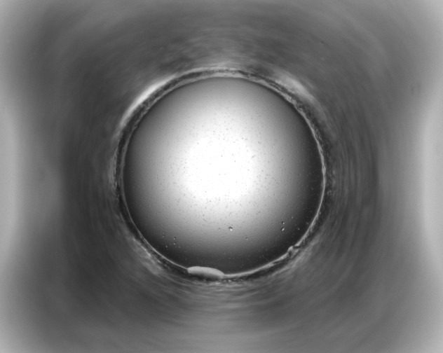 X0000086931216200704301110