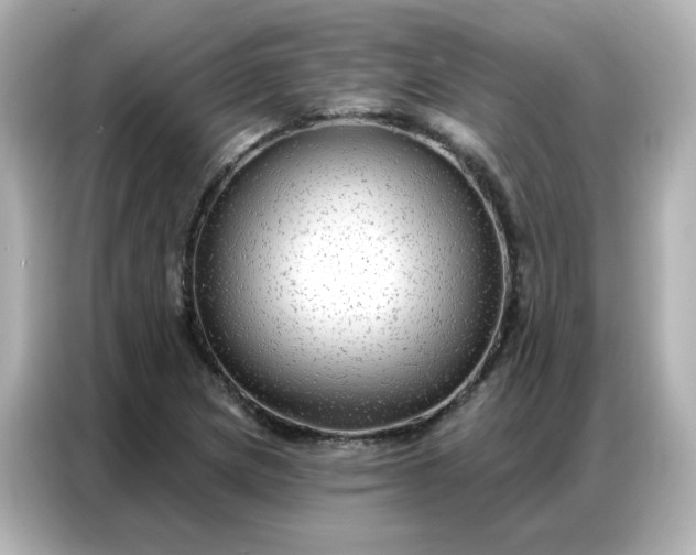 X0000086931217200704301110