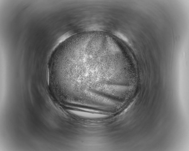 X0000086931219200704301110