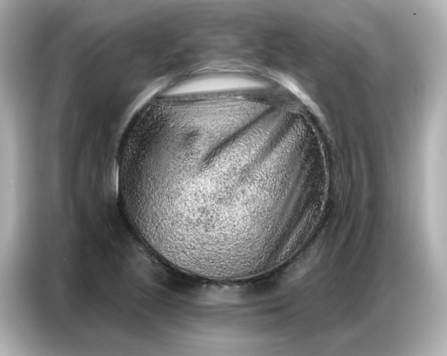 X0000086931221200704301110