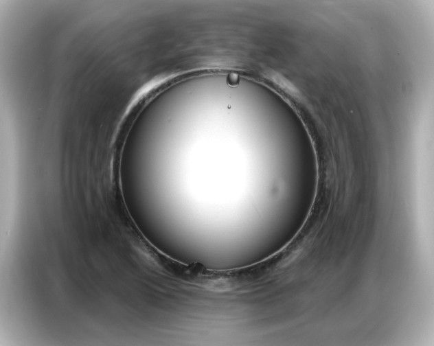 X0000086931222200704301110