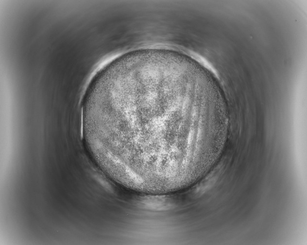 X0000086931223200704301110