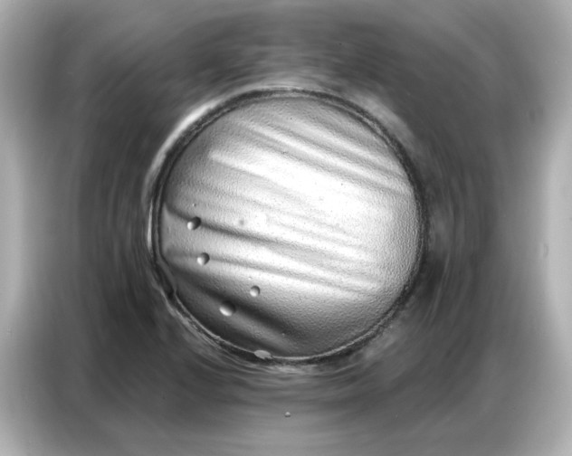 X0000086931224200704301110