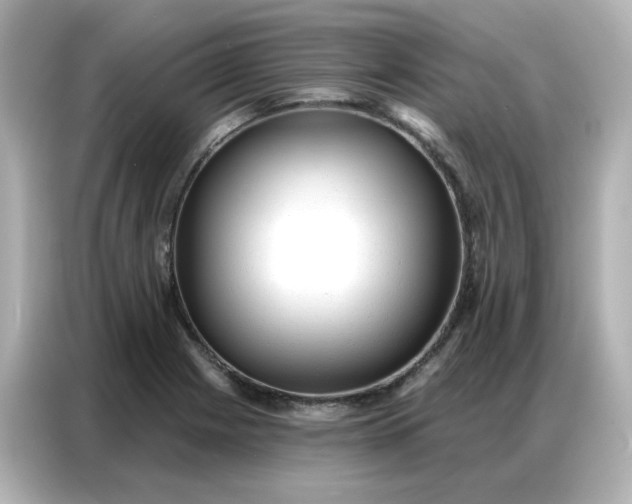 X0000086931225200704301110