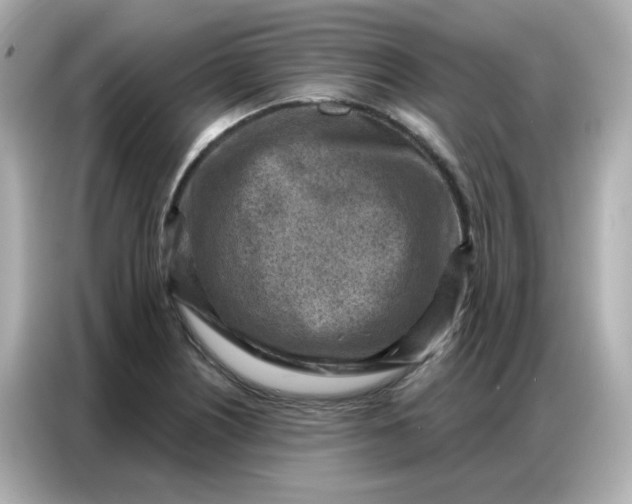 X0000086931226200704301110