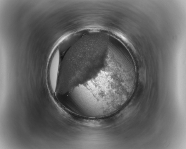 X0000086931229200704301110