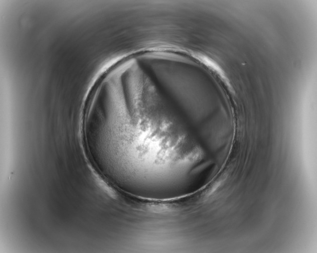 X0000086931231200704301110