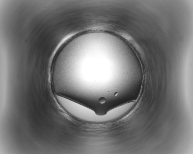 X0000086931232200704301110