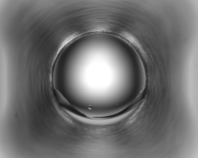 X0000086931234200704301110