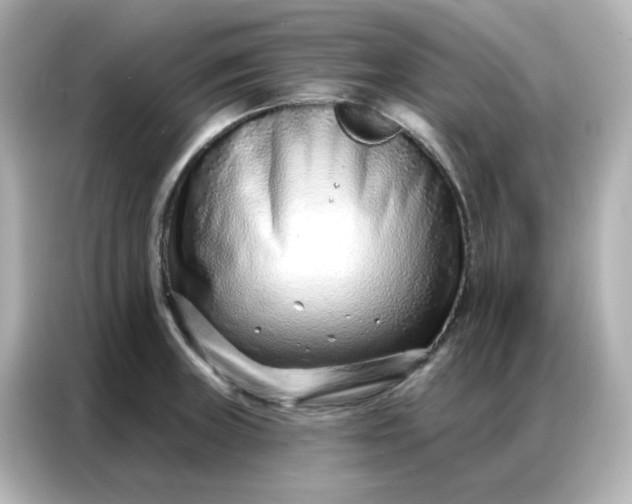 X0000086931235200704301110