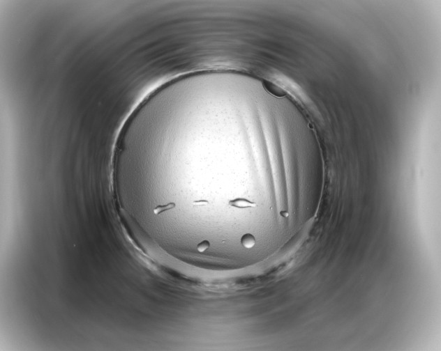 X0000086931236200704301110