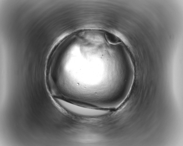 X0000086931237200704301110