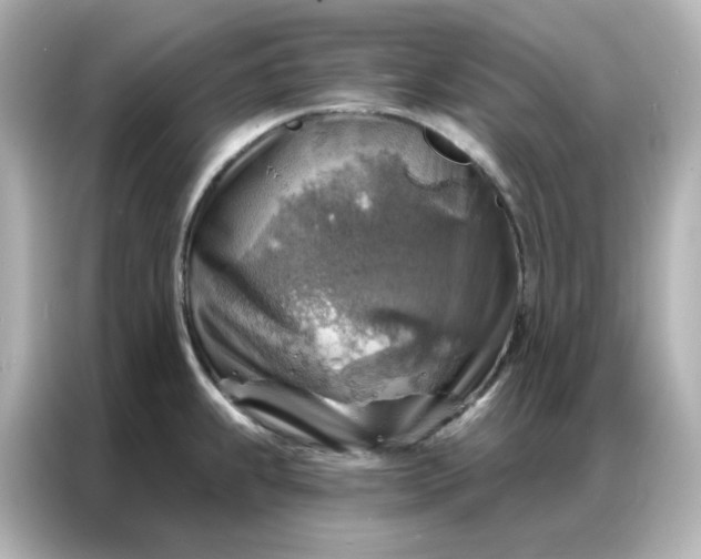 X0000086931239200704301111