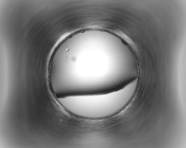 X0000086931240200704301111