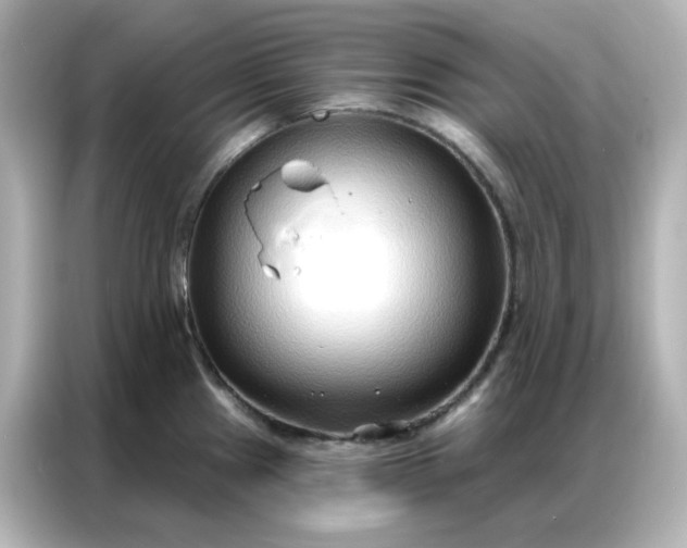 X0000086931241200704301111