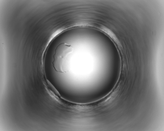 X0000086931242200704301111