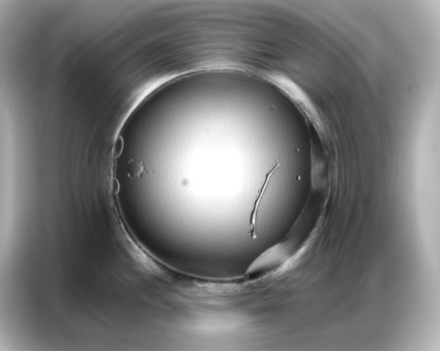 X0000086931244200704301111