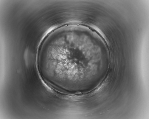 X0000086931245200704301111