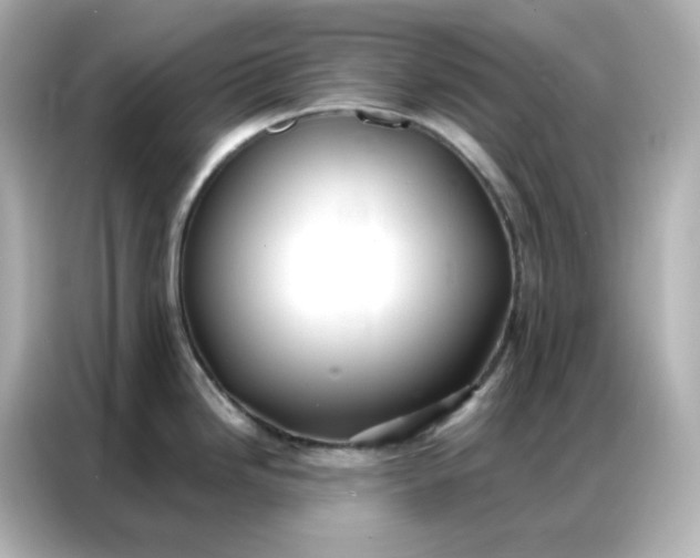 X0000086931246200704301111