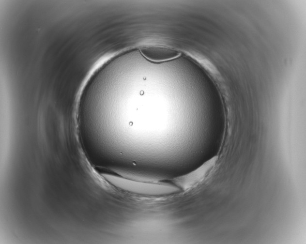 X0000086931248200704301111