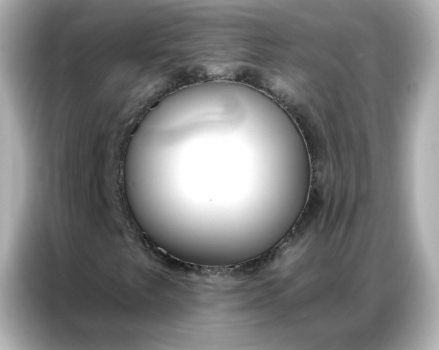 X0000086931249200704301110