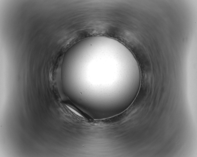 X0000086931250200704301110