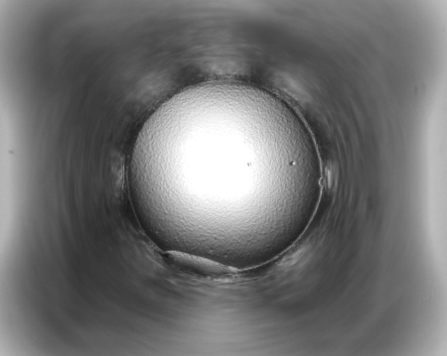 X0000086931251200704301110