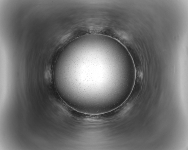 X0000086931252200704301110