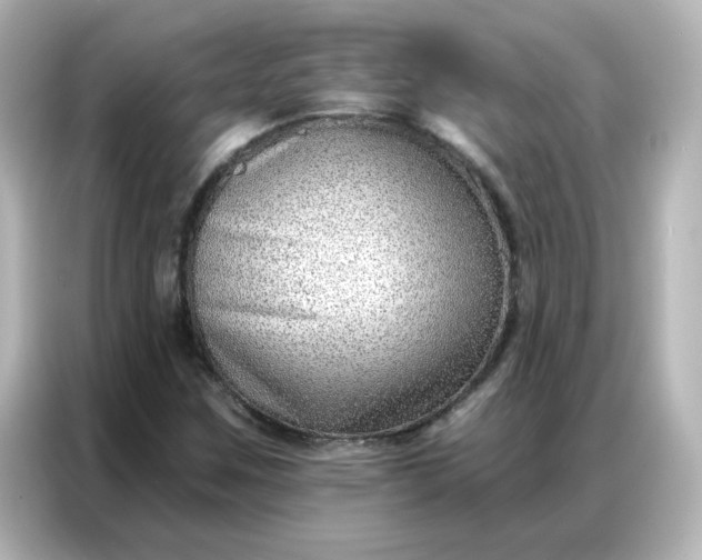 X0000086931259200704301110