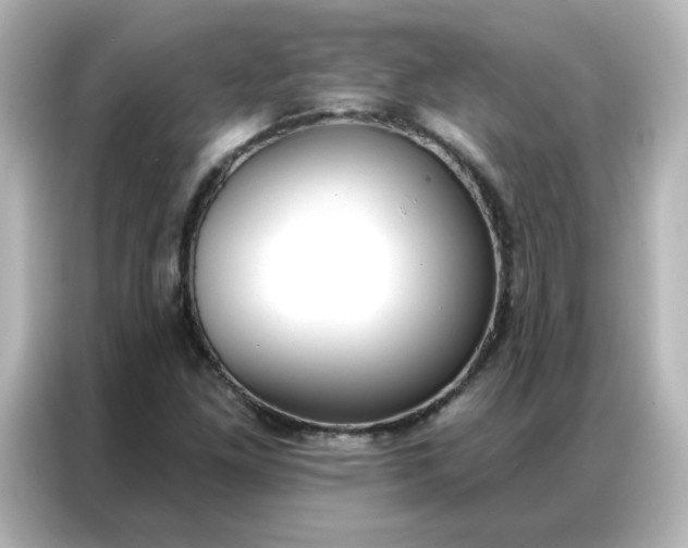 X0000086931261200704301110