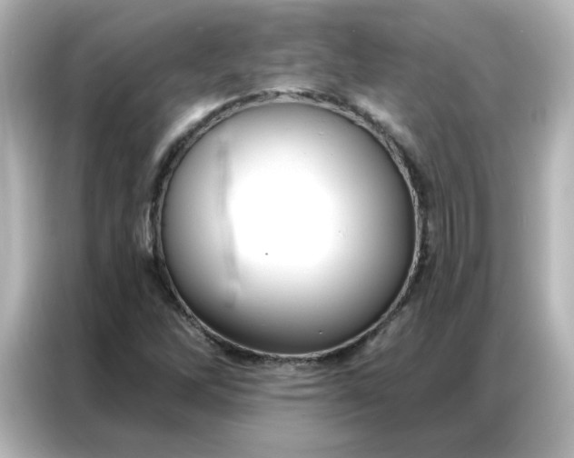 X0000086931262200704301110