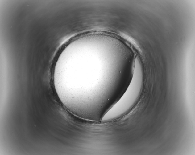 X0000086931264200704301110