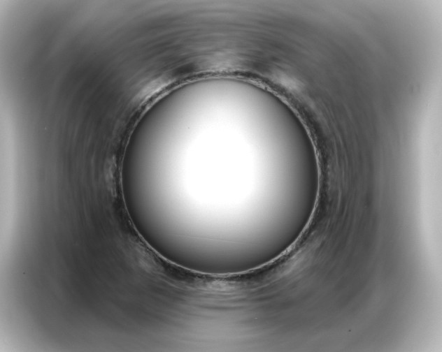 X0000086931265200704301110