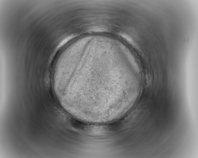 X0000086931266200704301110