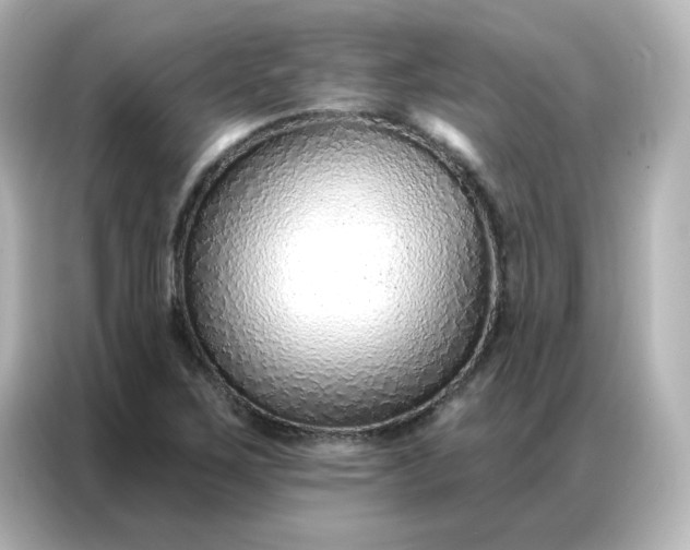 X0000086931267200704301110