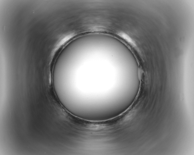 X0000086931269200704301110